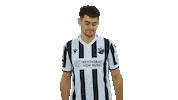 Svs1916 Sticker by SV Sandhausen