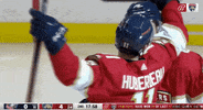 Ice Hockey Sport GIF by NHL