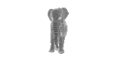 Loop 3D Sticker by elephantscanjump