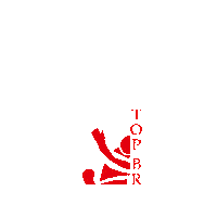 TopBrother bjj samurai topbrother top brother Sticker