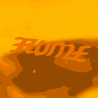 percy harley GIF by Flume
