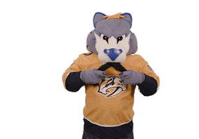 Ice Hockey Sticker by NHL