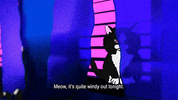 Cats Curtains GIF by Spaghetti
