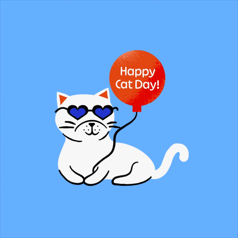 Celebrate International Cat Day GIF by Jessica Lau