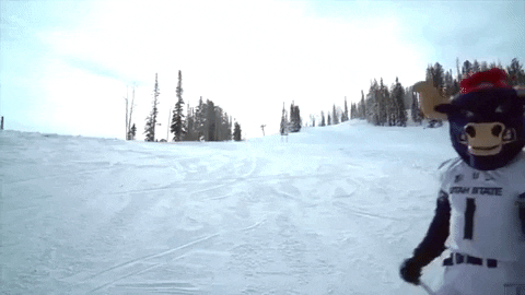 bigblue GIF by Utah State University