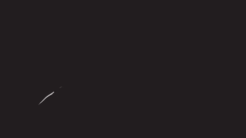 nicobohorquez giphygifmaker GIF