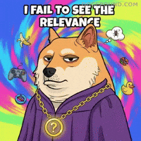 Confused Over It GIF by Doge Pound