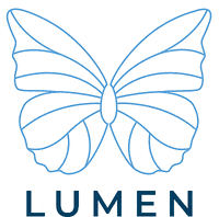 stregisrome stregisrome lumenrome GIF