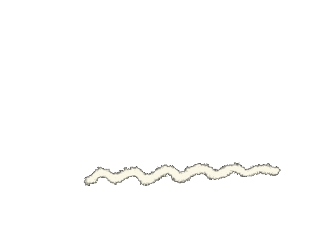 Summer Wave Sticker