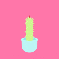 staycharming GIF by Sehsucht Berlin