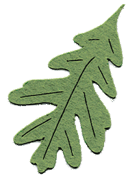 Autumn Leaf Sticker