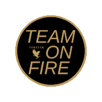 Fof Sticker by Team Foreveronfire