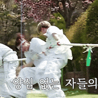 Ald1 GIF