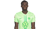 Football Love Sticker by VfL Wolfsburg