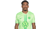 Football Love Sticker by VfL Wolfsburg