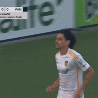 Vamos Lets Go GIF by Major League Soccer