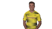 happy borussia dortmund Sticker by Bundesliga