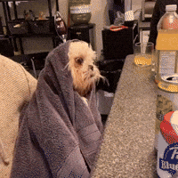 "these edibles aren't shit"