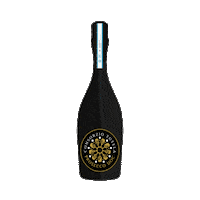 Cheers Celebrate Sticker by ProseccoDOC