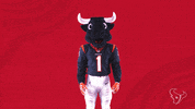 Nfl Mascot GIF by Houston Texans