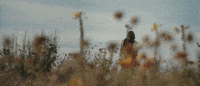 Music Video Flowers GIF by Jade LeMac
