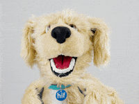 well done love GIF by HIF Australia