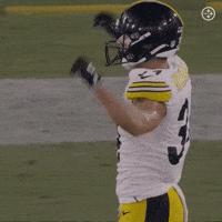 Celebration Nfl GIF by Pittsburgh Steelers
