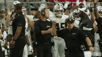 National Football League GIF by NFL