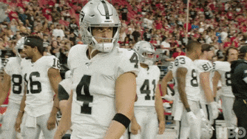 National Football League GIF by NFL