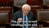 Bernie Sanders Israel GIF by GIPHY News