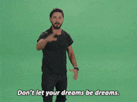 lets shia GIF