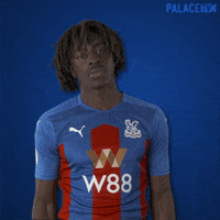 Premier League Football GIF by CPFC