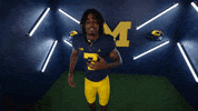Go Blue College Football GIF by Michigan Athletics