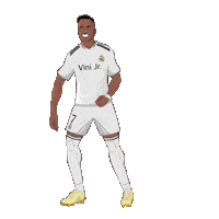 Real Madrid Football Sticker by Panini America