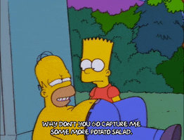 homer simpson episode 23 GIF