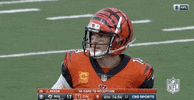 2018 Nfl Football GIF by NFL