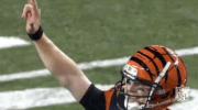 2018 Nfl Football GIF by NFL