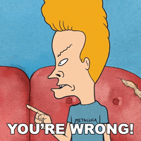 Youre Wrong Beavis And Butthead GIF by Paramount+