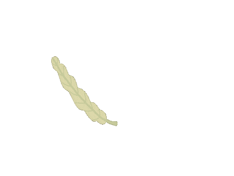 Plant Sticker