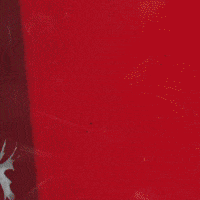 Que Parks GIF by Showdown Management