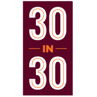 Go Team Support Sticker by Susquehanna University