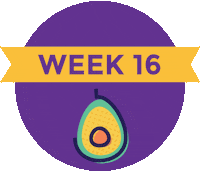 Pregnancy Baby Size Sticker by What to Expect