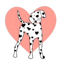 Valentines Day Love Sticker by ManyPets UK