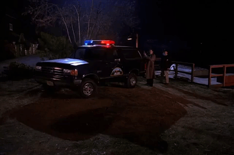 season 2 GIF by Twin Peaks on Showtime