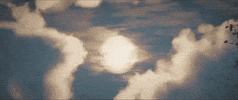 Speed Running GIF by Assassin's Creed