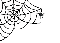 Spider Web Sticker