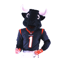 Football Swipe Up Sticker by Houston Texans