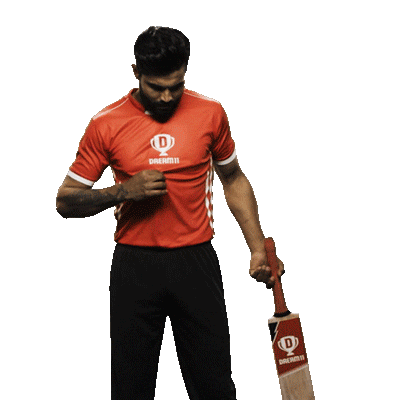 Match Cricket Sticker by Dream11