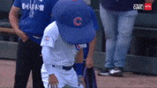 Chicago Cubs Sport GIF by MLB