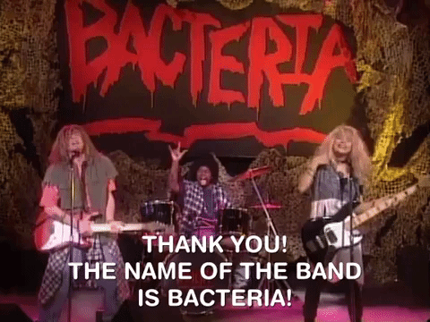 nickrewind giphydvr nicksplat nickelodeon splat GIF